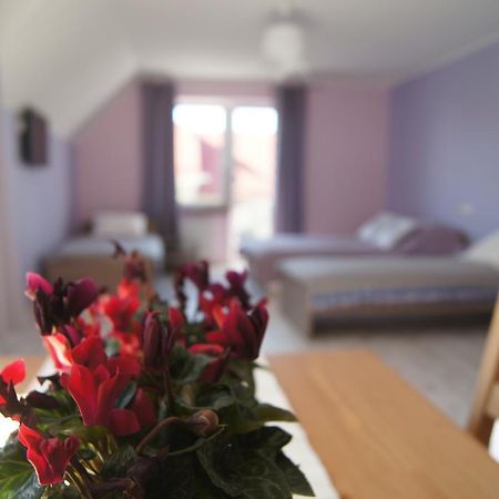 Villa Terra Pruszcz Gdański Eksteriør bilde