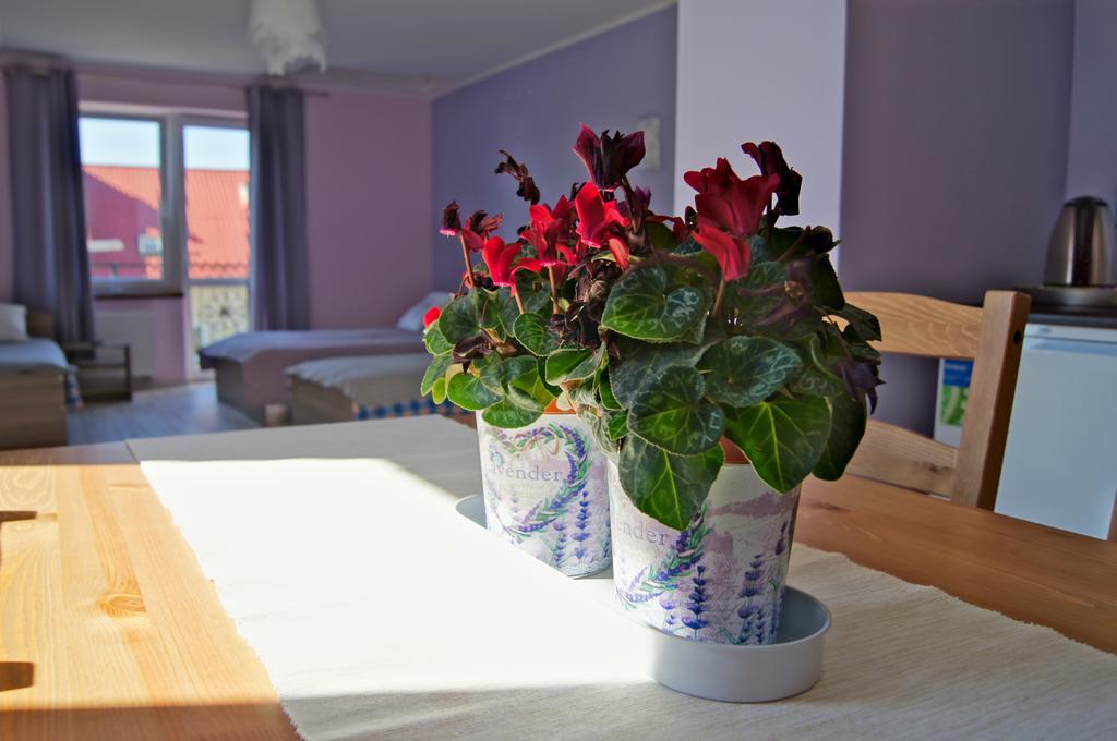 Villa Terra Pruszcz Gdański Eksteriør bilde